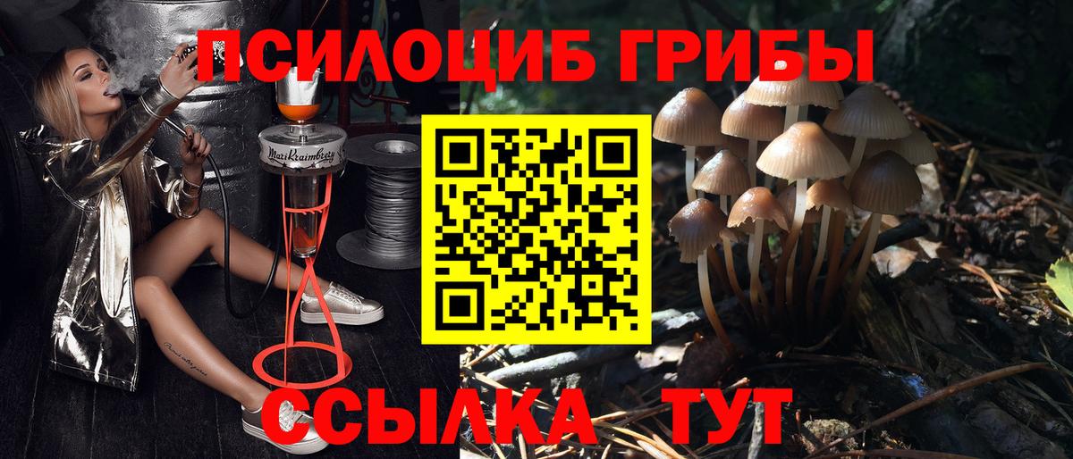 Галлюциногенные грибы ЛСД Сызрань